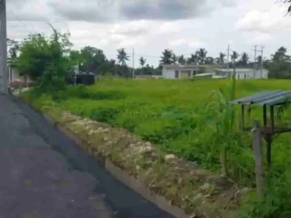 DIJUAL TANAH AREA SINGAKERTA UBUD BALI