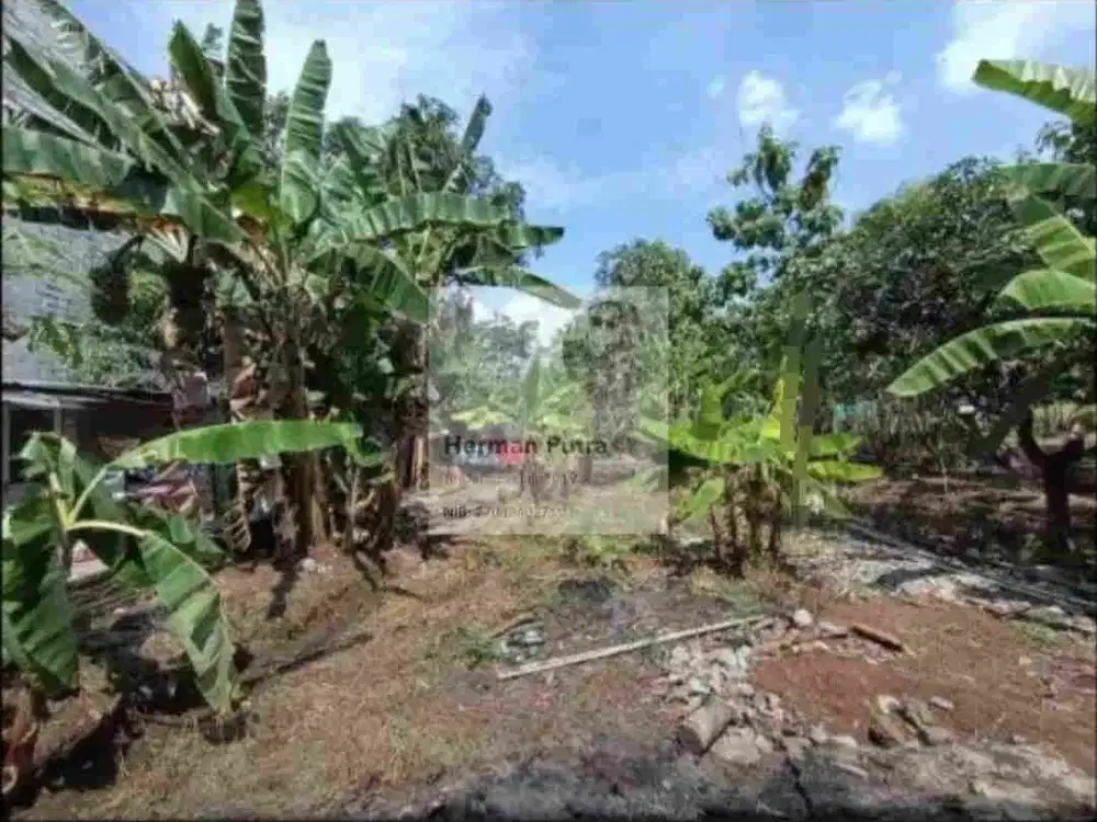 Tanah Tembalang Bulusan Undip