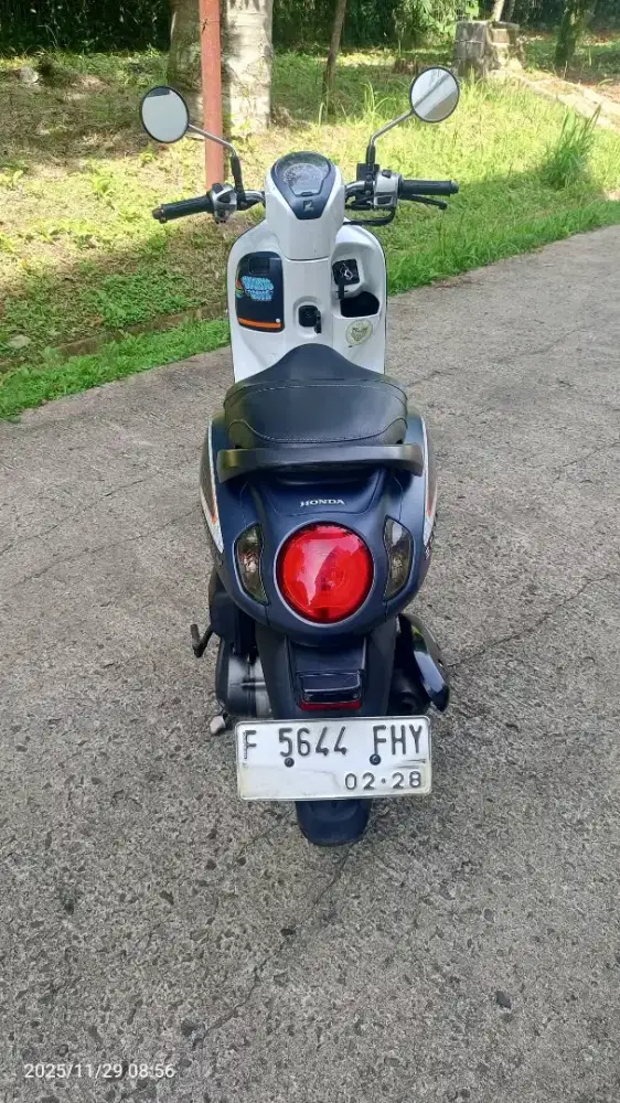Jual Honda Scoopy donat