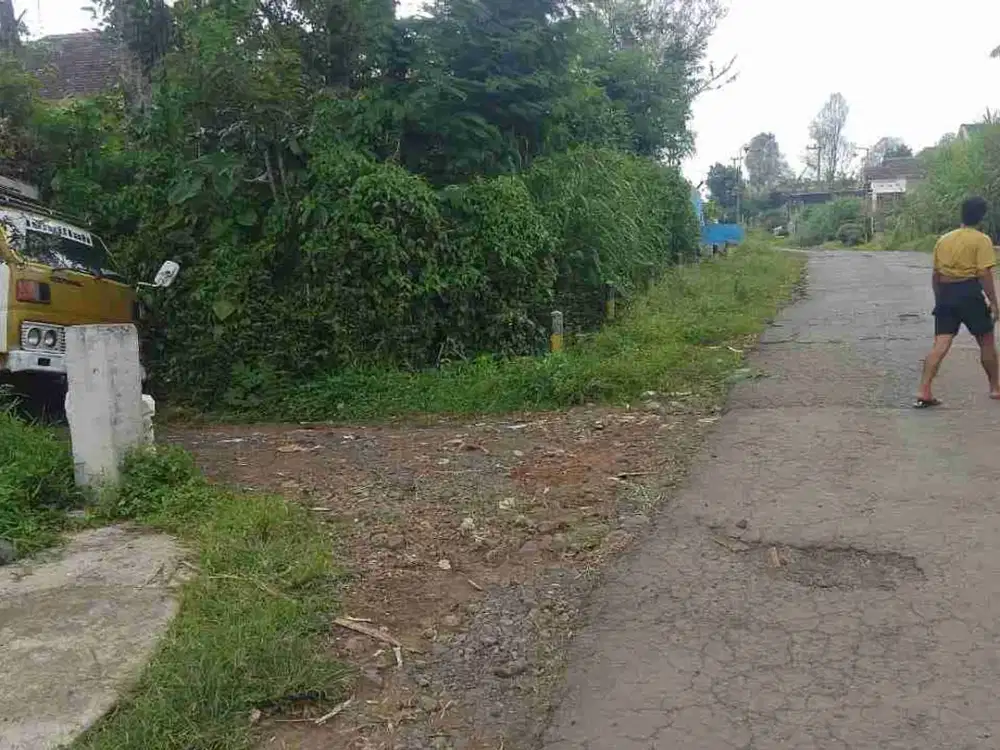 TANAH DAN KEBUN DUREN 200 POHON LOKASI NGAJUM MALANG