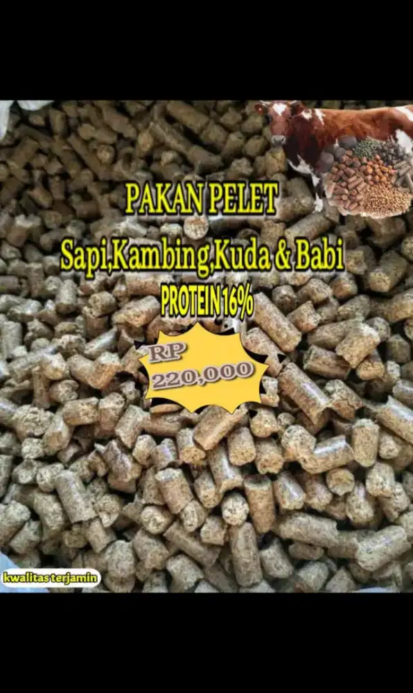 Pakan wilmar sapi kambing kuda