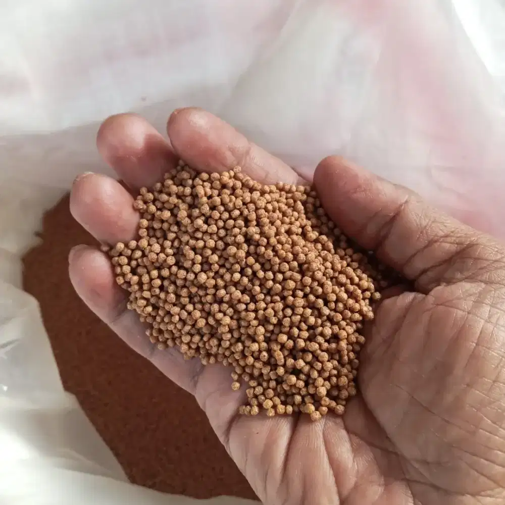 Pakan ikan protein 26 persen -3