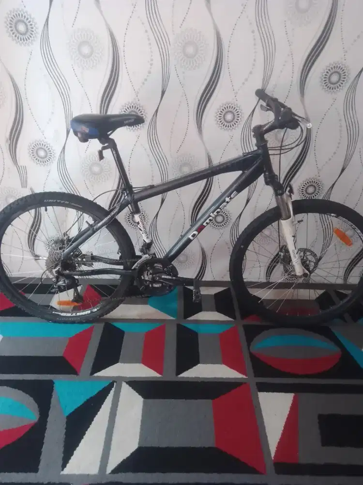 Sepeda gunung united dominate