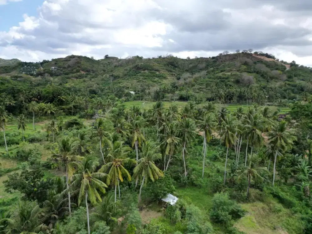 Tanah kapling leasehold di prabu dekat Kuta Mandalika