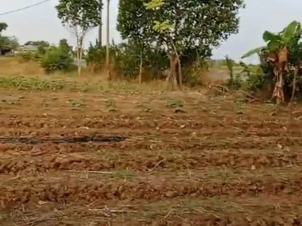 Dijual Tanah Strategis di Jl. Raya Subang  Padaasih Cocok Untuk Usaha