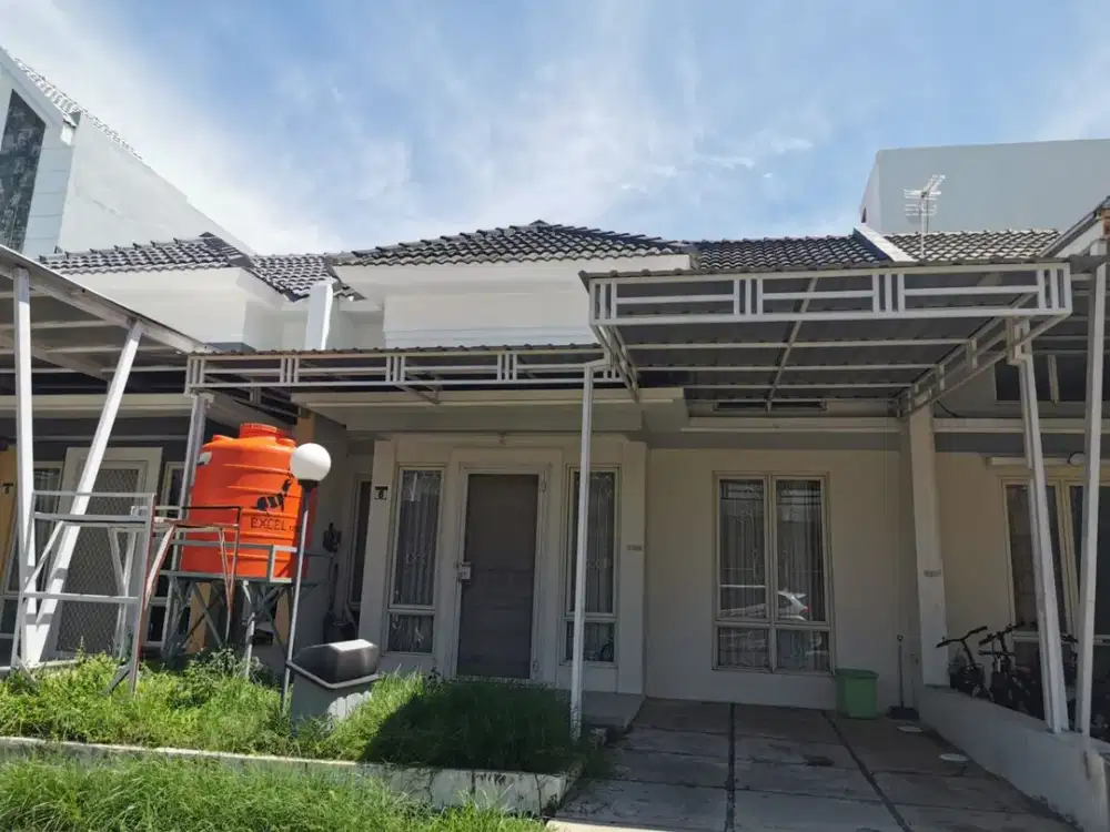 Tanjung Bunga Amarylis