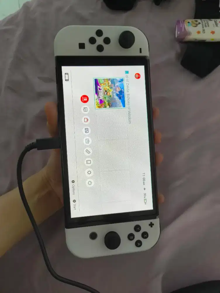 Nintendo Switch OLED White Segel