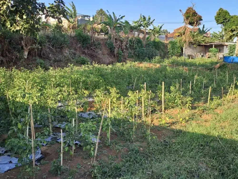 Dijual Tanah Kavling Cihanjuang Cimahi