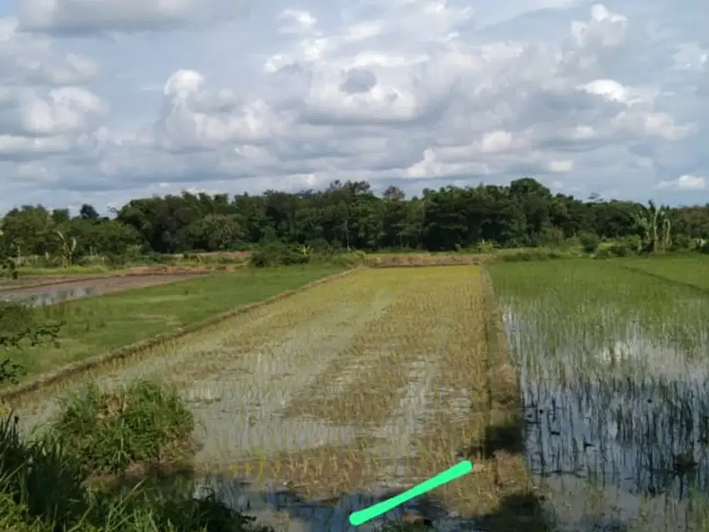 Dijual tanah Selatan Kelurahan Tamanmartani, Timur Jl LPMP Sleman