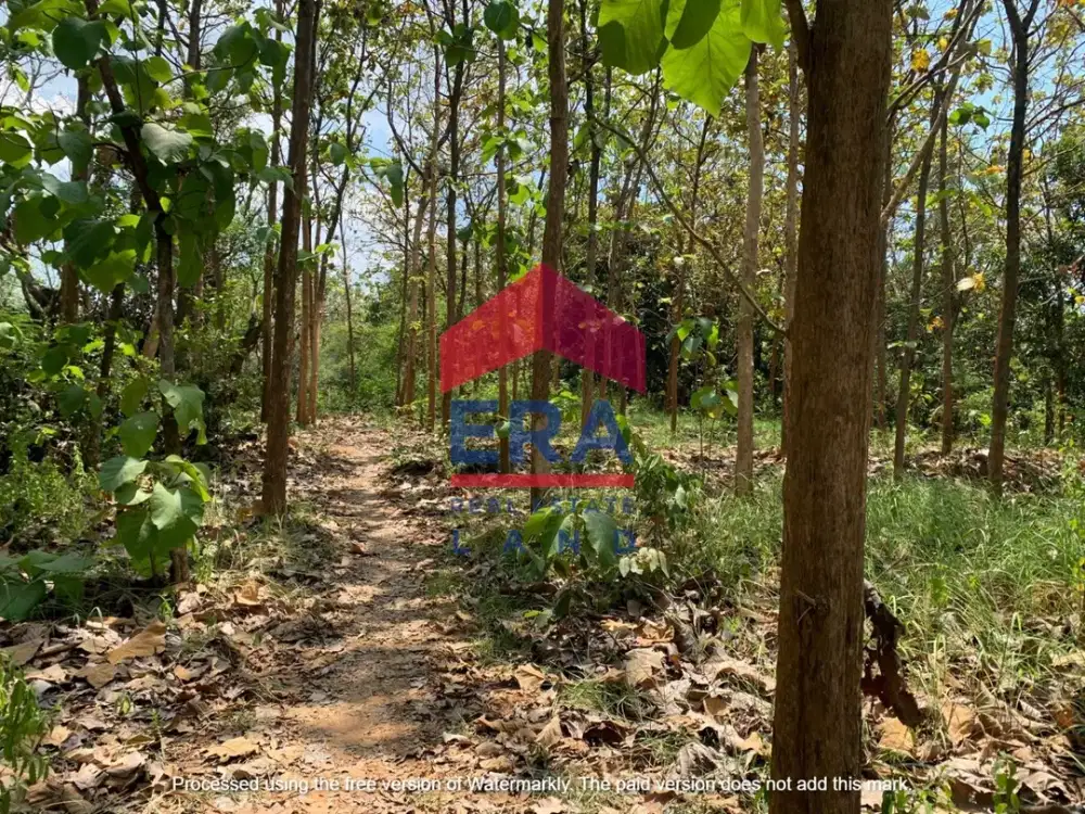 Dijual Tanah di Jalan Raya Bulu Jatirogo Tuban