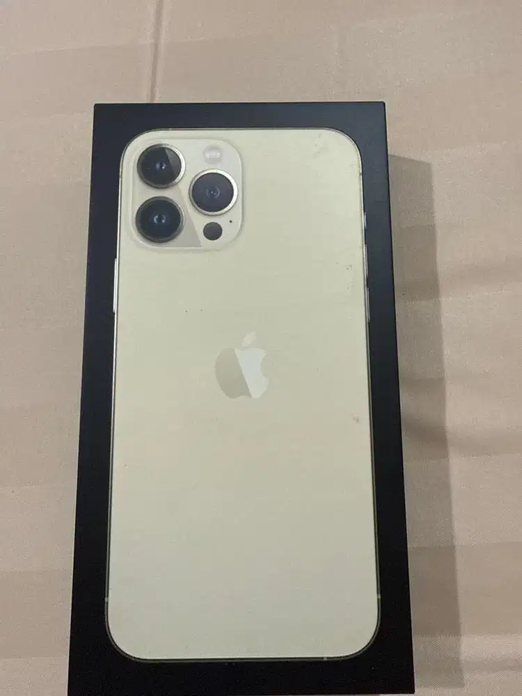 Iphone 13 Pro Max 128 gb