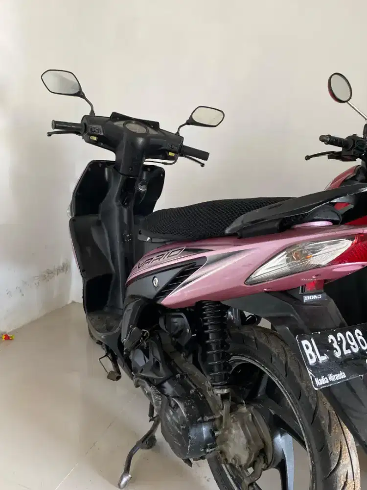 Vario karbu pink 2009