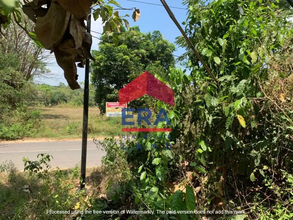 Dijual Tanah di Jalan Raya Bulu Jatirogo Tuban