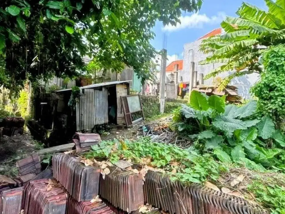 Tanah Premium dan Murah 3,36 Are Disewakan, di Babakan, Canggu Area