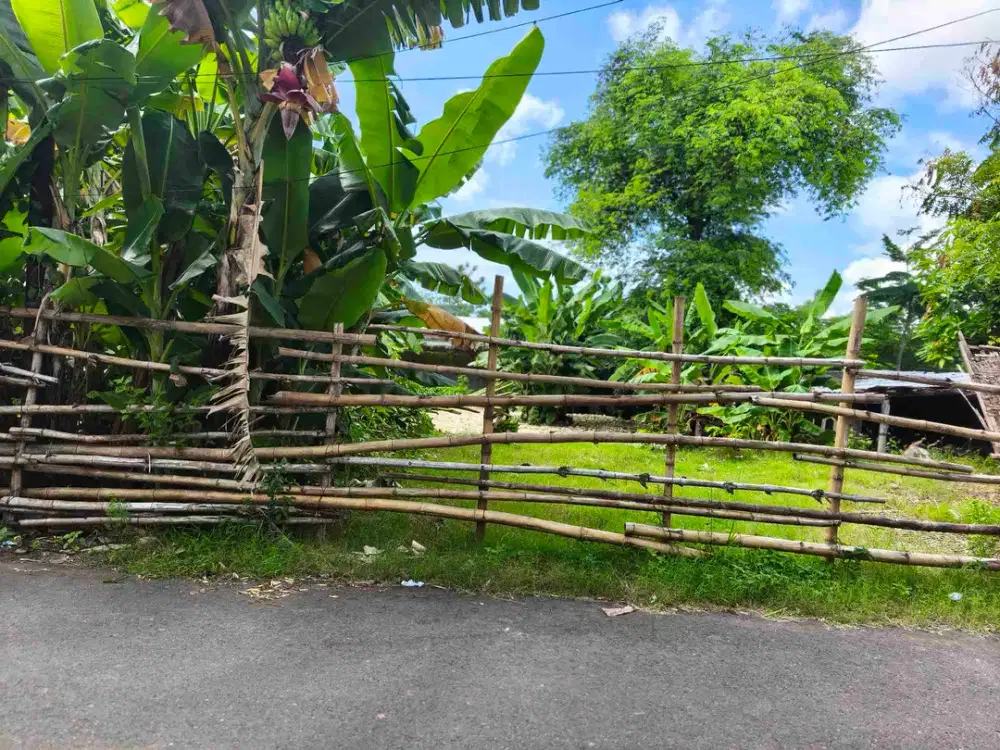 dijual tanah 10 are IDR 600 juta per are dekat Pepito taman griya Jimbaran Kuta Selatan Badung Bali