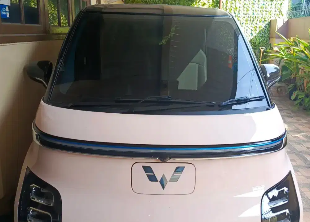 (Cash) Air EV 2022 Pink