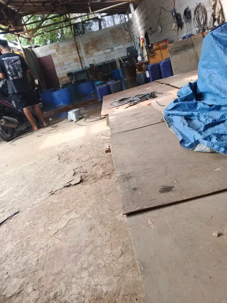 loker planting/galvanis