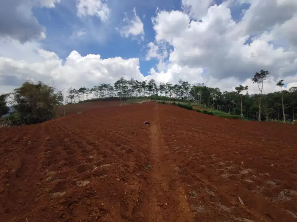 Dijual Tanah di Kota Bandung