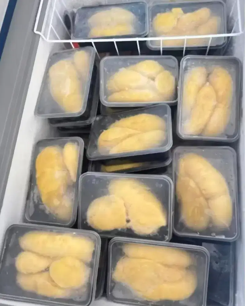 Jual Durian Montong Frozen