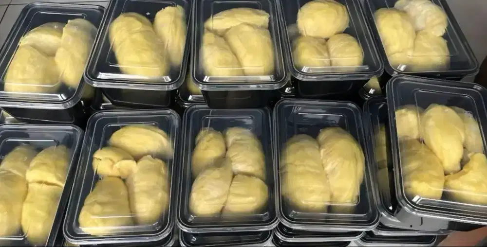 Ready Durian Montong Kupas dan Frozen