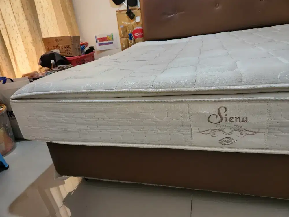 kasur florance springbed plus dipan 180x200