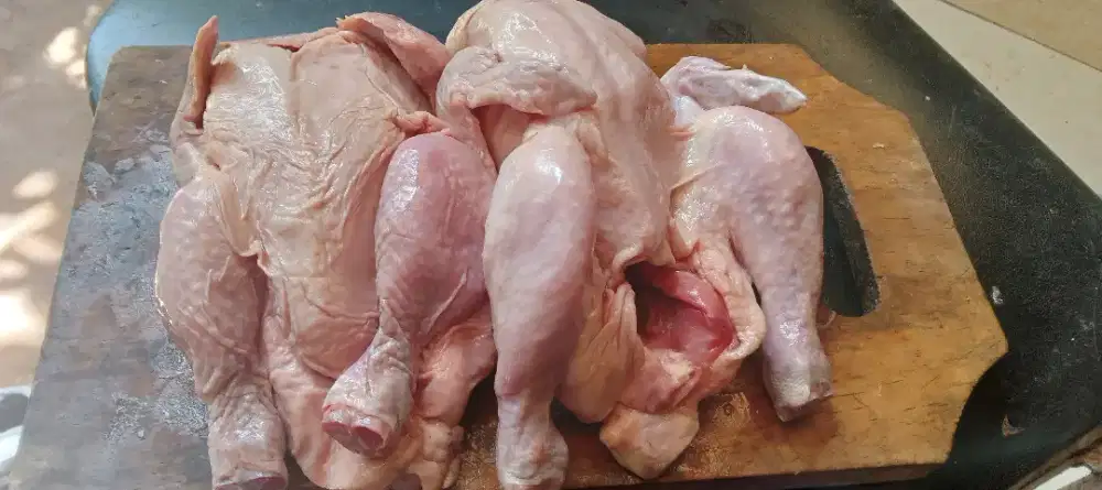 Penjaga Stand Ayam Potong