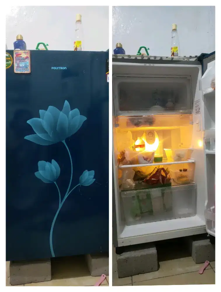 Kulkas Polytron 1 Pintu