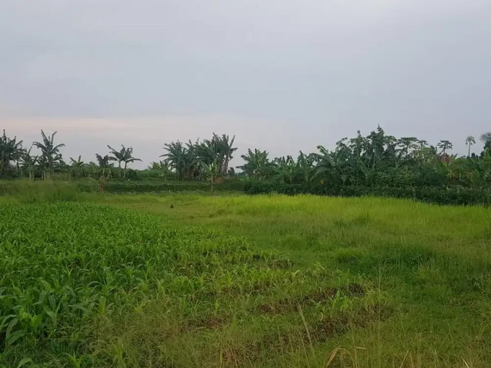 kavling SHM 1jt-an View Gunung Salak Cashback 40jt