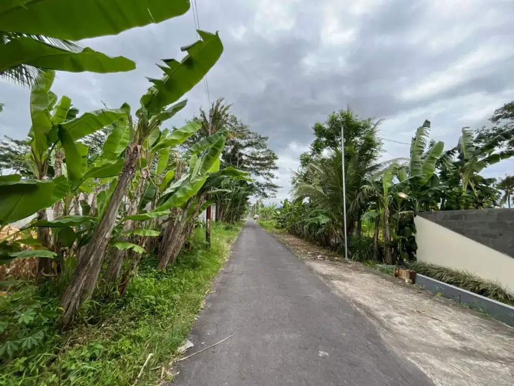 Dekat Kampus UGM, Tanah Jogja dijual Jl. Kaliurang Km 9