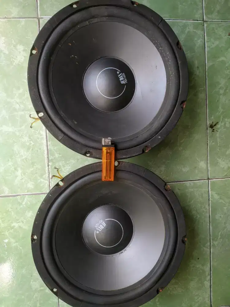 Speaker Audax 12inc