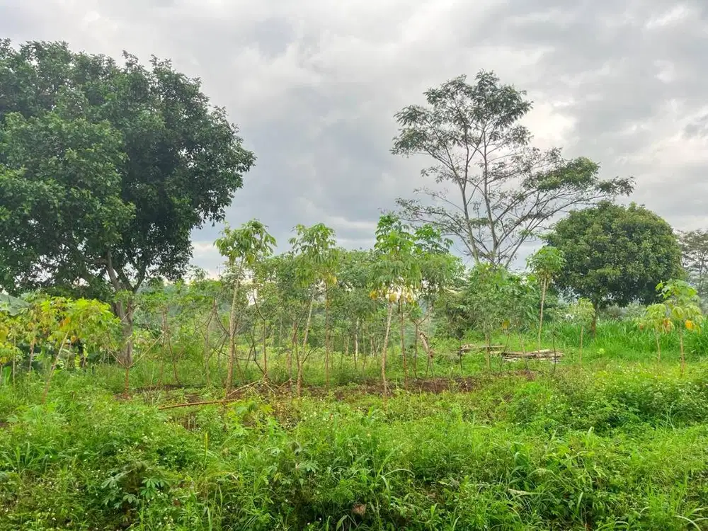 Dijual tanah di Jl.Garung, Desa Cibiru Wetan