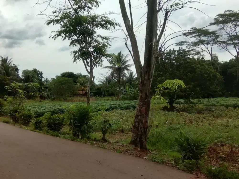 Kavling Tanah Strategis 1jt-an Bonus Design Rumah