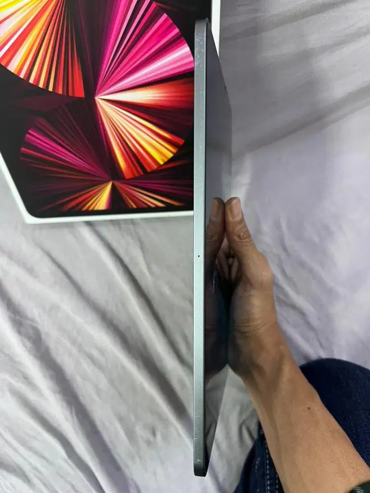 Ipad pro m1 256 gb
