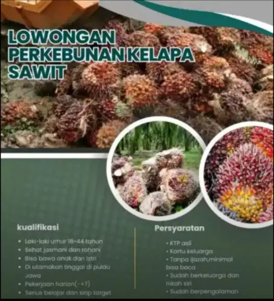 Loker abk kapal ( Cigugur, kuningan)