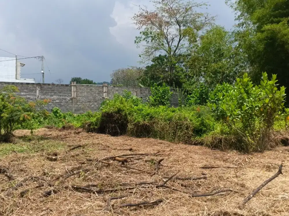 SHM ready cocok untuk kost,rumah coco untuk kost,rumah,investasi Inves Tinggi