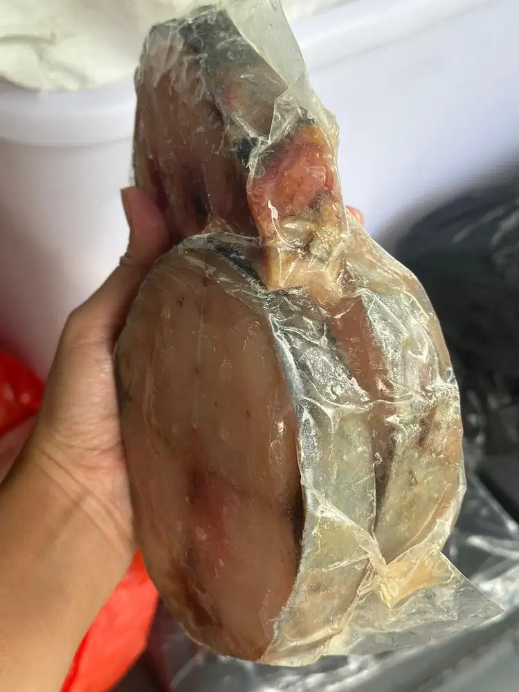 IKAN FROZEN (TENGGIRI)