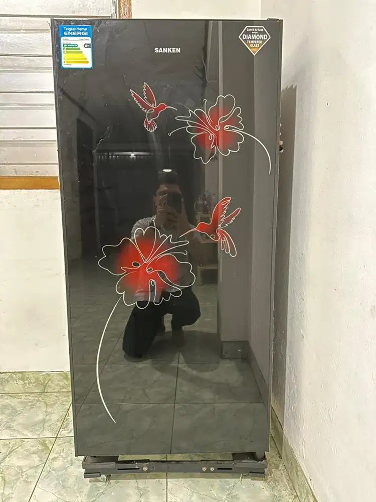 Kulkas 1 Pintu Sanken