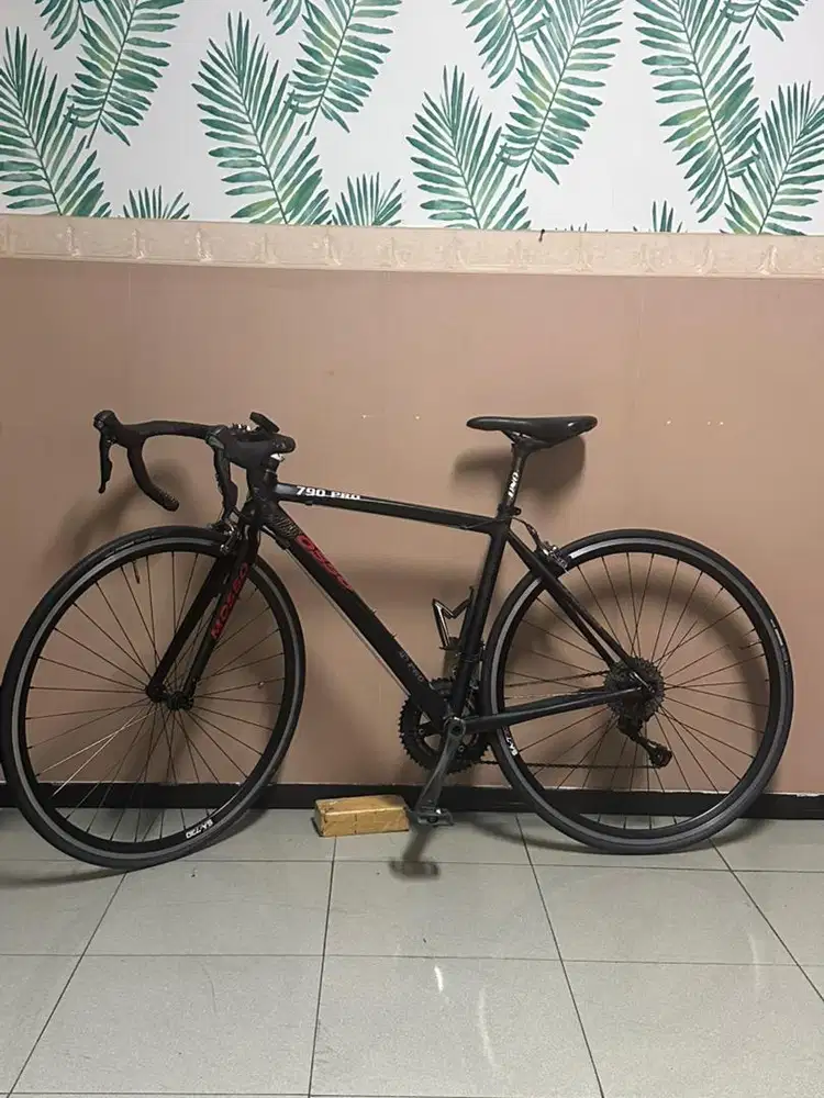 Sepeda RB Mosso 790 pro