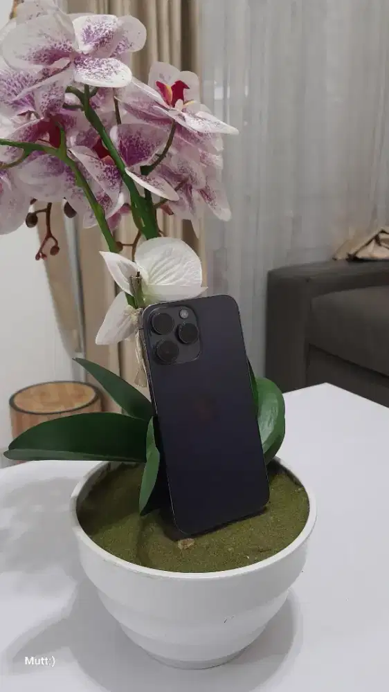 Di jual hp ip 14 pro max