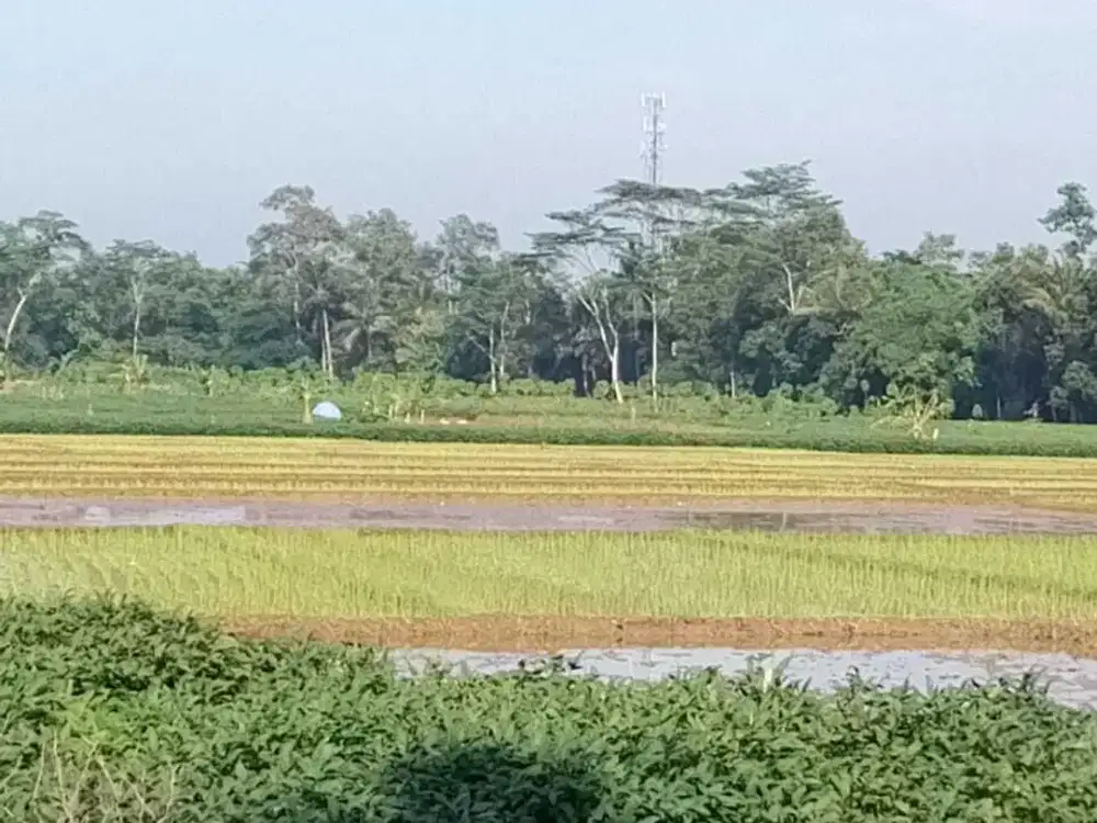Dijual Tanah Industri Seluas ± 19 Ha Di Purbalingga