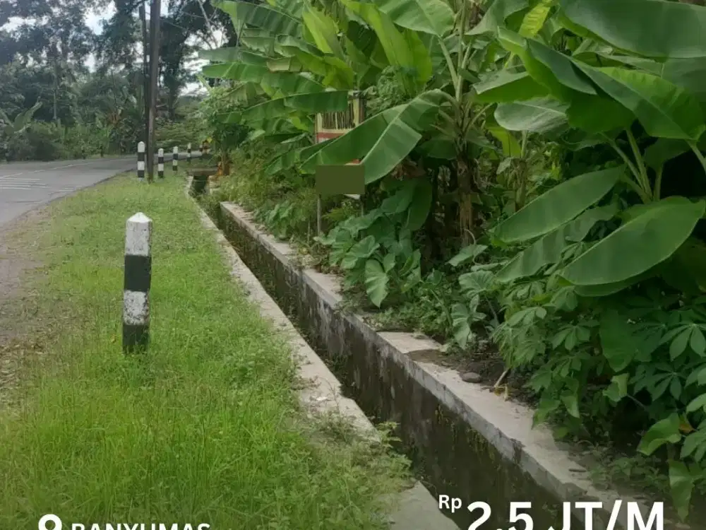 Dijual Tanah 2.880 m² Di Tepi Jalan Raya