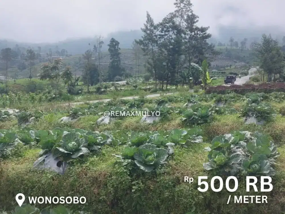 Dijual Tanah di Wonosobo Dekat dengan Area Wisata