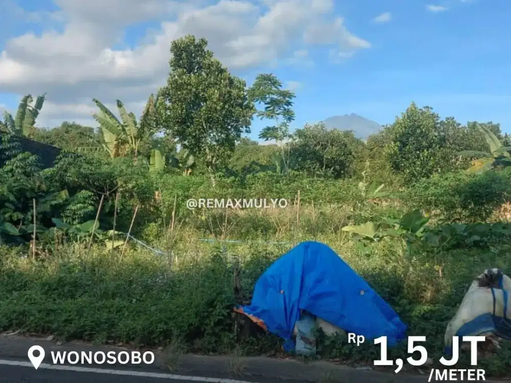 Dijual Tanah Area Wonosobo Lokasi Strategis