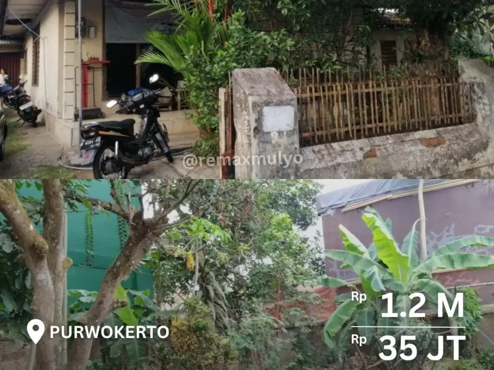 Dijual dan Disewakan Rumah Area Kota Purwokerto
