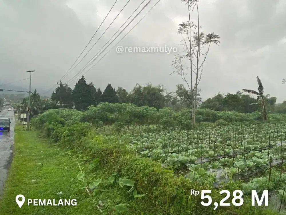 Dijual Tanah Tepi Jalan Ramai Dekat Lokawisata