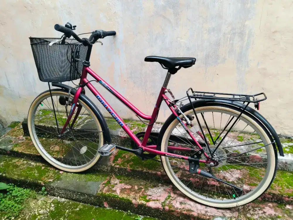 Sepeda Keranjang Polygon 24 Inch