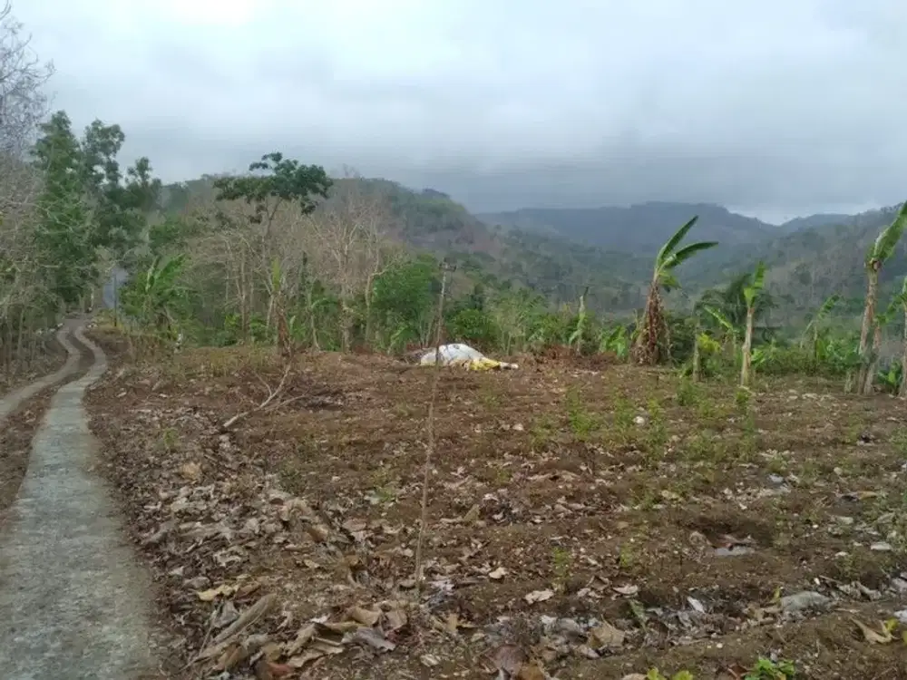 Tanah Luas 4780 Meter Persegi Lokasi Dekat Pasar Sribit Kulon Progo Kulon Progo, Daerah Istimewa Yogyakarta