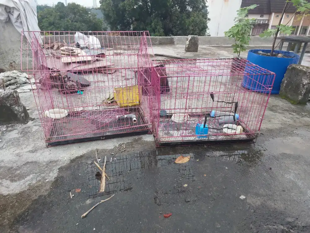 Kandang kucing anjing ayam burung
