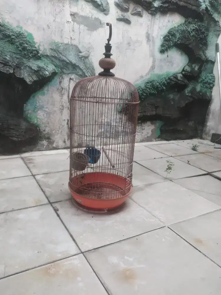 Sangkar burung labet warna merah