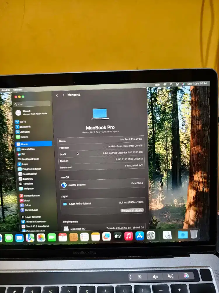 MacBook pro 256 Intel